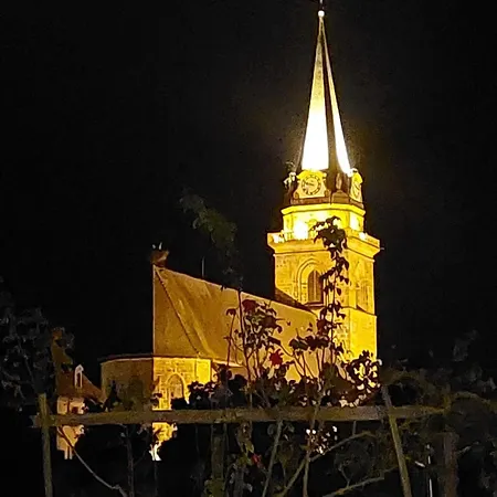 Maison Chez Grand-mere, Route Des Vins * Bergheim