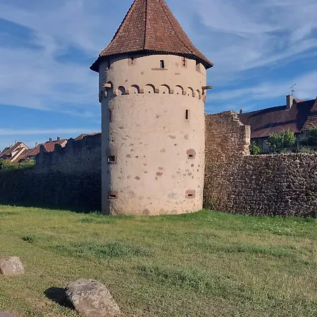 Holiday home Maison Chez Grand-mere, Route Des Vins Bergheim