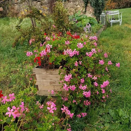 Maison Chez Grand-mere, Route Des Vins