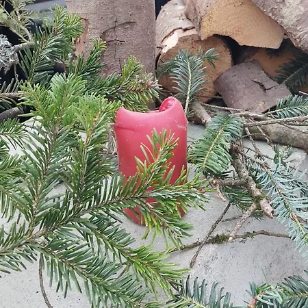 Maison Chez Grand-mere, Route Des Vins בית נופש ברגהיים